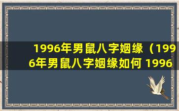 1996年男鼠八字姻缘（1996年男鼠八字姻缘如何 1996年男鼠什么时候动婚）